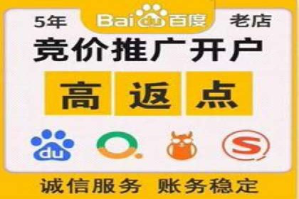 从小白到高手：网站sem托管的进化之路